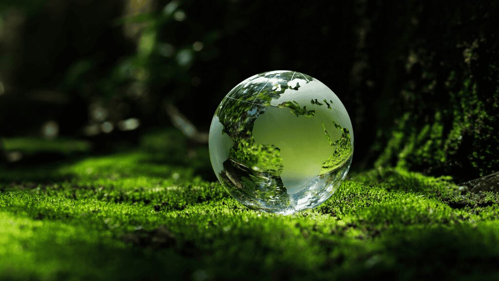 L'importanza della biodiversità nel controllo dei rifiuti
