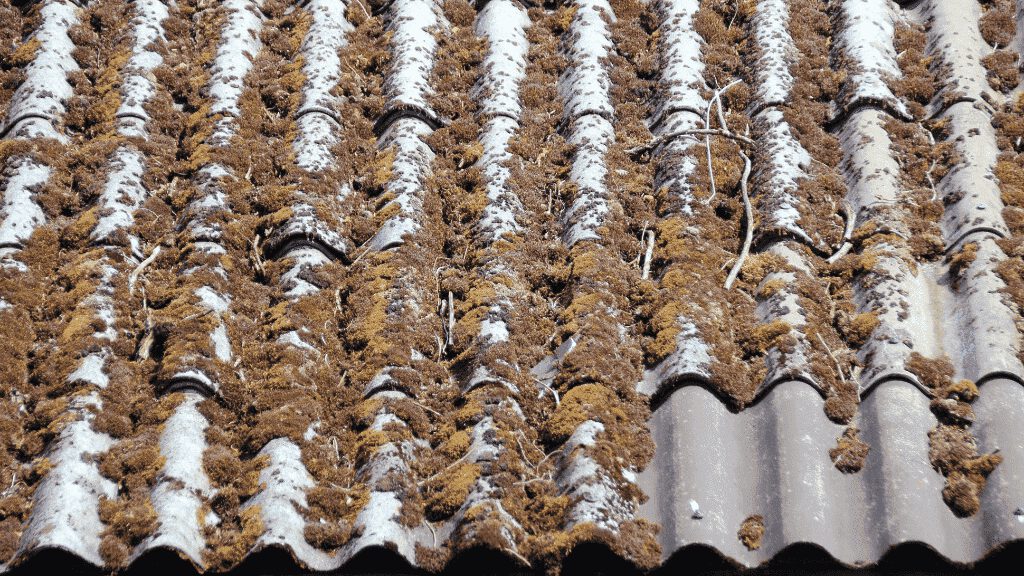 Smaltimento Eternit Costi 2024: Dinamiche, Normative e Opzioni per un Approccio Sicuro ed Ecocompatibile